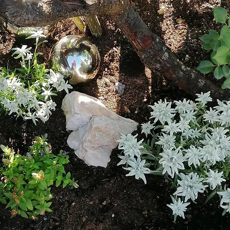 D'hoamatliab Flachau