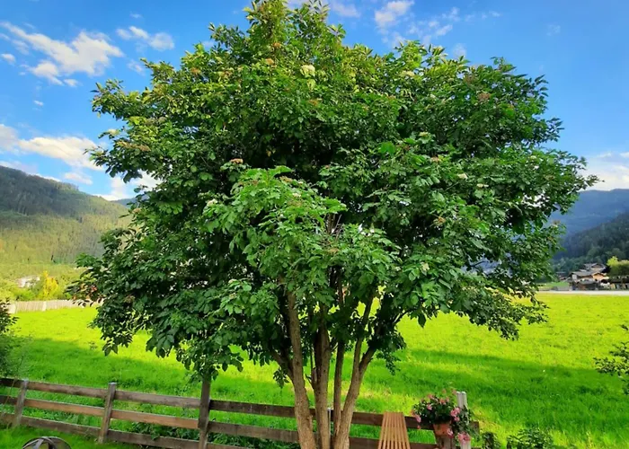 Panzió D'hoamatliab Flachau